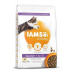 Iams Cat Kitten Chicken 10kg
