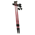 Hole pro nordic walking Nils NW802