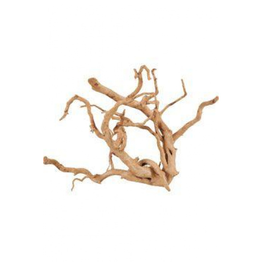 Akváriová dekorácia Pavúčí koreň 30-40cm Zolux Akváriová dekorácia Pavúčí koreň 30-40cm Zolux