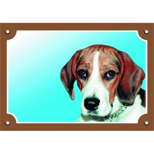 Farebná ceduľka Pozor pes, Beagle Farebná ceduľka Pozor pes, Beagle