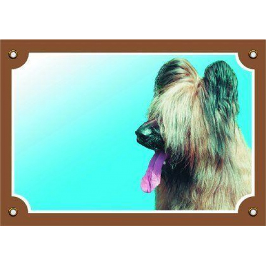 Farebná ceduľka Pozor pes, Briard svetlý Farebná ceduľka Pozor pes, Briard svetlý