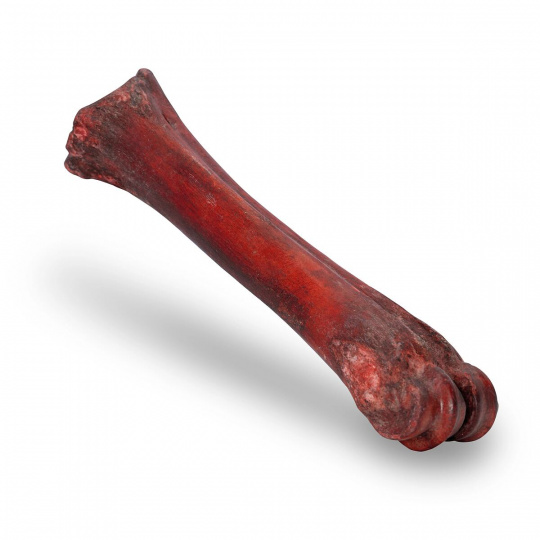 KIDDOG 100% Natural Snack, hovädzia údená holenná kosť - 1 ks / 20-24 cm