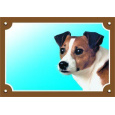 Farebná ceduľka Pozor pes, Jack Russel teriér