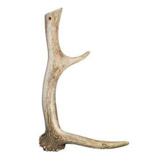 Pochúťka parožie Daněk 230-320g Pochúťka parožie Daněk 230-320g