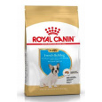 Royal Canin Breed Francúzsky Buldoček Junior 3kg