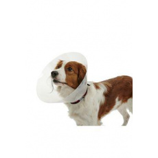 Ochranný golier BUSTER plastový Classic Collar 30cm Ochranný golier BUSTER plastový Classic Collar 30cm