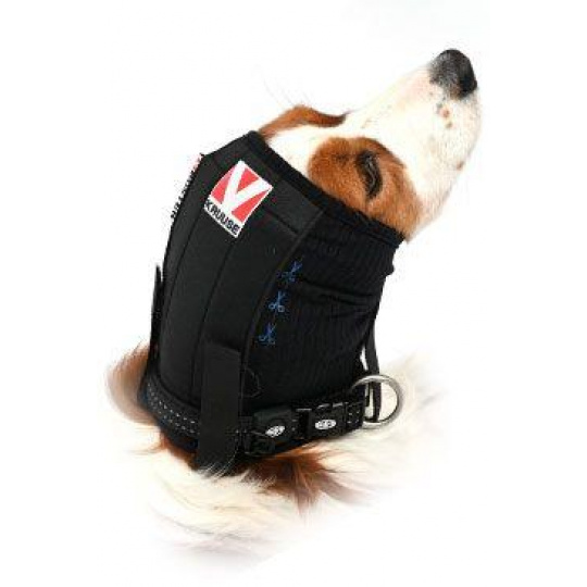 Bandáž uší a hlavy pre psa BUSTER XL Bandáž uší a hlavy pre psa BUSTER XL