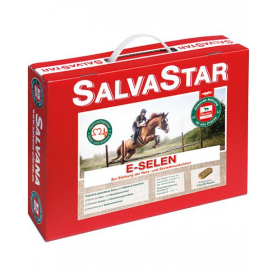 SALVASTAR E-SELEN pre kone 5 kg (brikety)