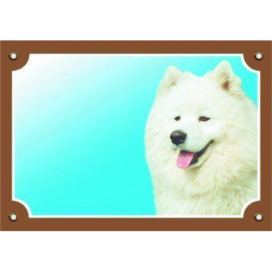 Farebná ceduľka Pozor pes, Samojed Farebná ceduľka Pozor pes, Samojed