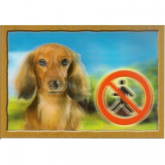 Ceduľka 3D PSI, Jazvečík dlhosrstý Ceduľka 3D PSI, Jazvečík dlhosrstý