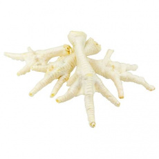 Kurací pazúr biely - 50 ks/bal