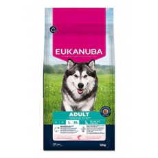 Eukanuba Dog Adult Large rich in Salmon&Barley 12kg