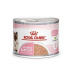 Royal Canin Feline Babycat konz 195g