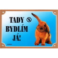 Farebná ceduľka Pozor pes, Králik