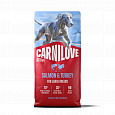 Carnilove Active Dog Salmon & Turkey for Adult Large 12 kg