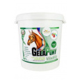 Gelapony VitaMin 10,8 kg