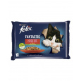 Nestlé FELIX Fantastic cat Multipack kura s paradajkami & hovädzie s mrkvou želé kapsička 4x85 g