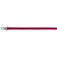 Vodítko nylon EXPERIENCE L-XL 1,00 m/25 mm, vínovo červená