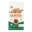 Iams Cat Adult Jahňacie 2kg