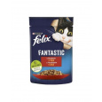 Nestlé FELIX Fantastic cat hovädzie želé kapsička 26x85 g