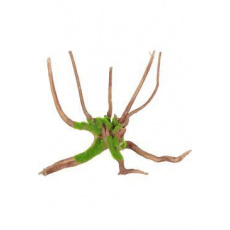 Akváriová dekorácia KIPOUSS pavúčí koreň M Zolux