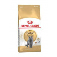 Royal Canin Breed Feline British Shorthair 2kg