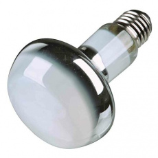 Basking Spot-Lamp 75 W (2,10 Kč)