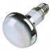 Basking Spot-Lamp 75 W (2,10 Kč)