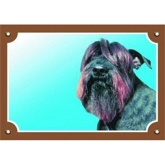 Farebná ceduľka Pozor pes, Bradáč čierny Farebná ceduľka Pozor pes, Bradáč čierny