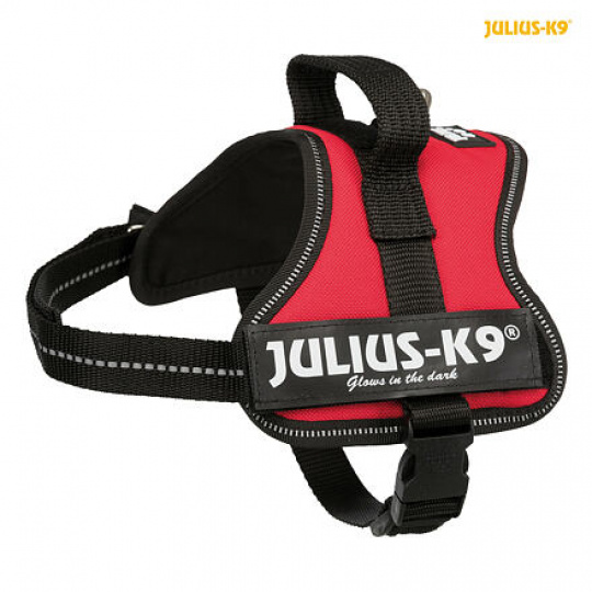 Julius-K9 silový postroj Mini-Mini/XS 40-53 cm/22 mm  - červená