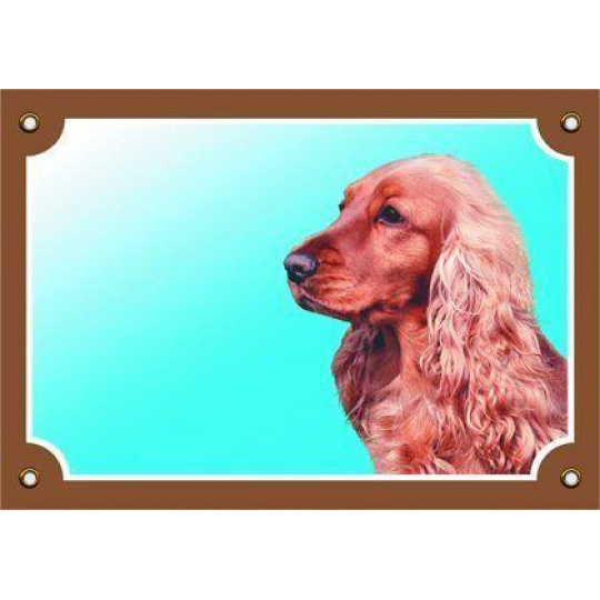 Farebná ceduľka Pozor pes, Anglický koker zlatý Farebná ceduľka Pozor pes, Anglický koker zlatý