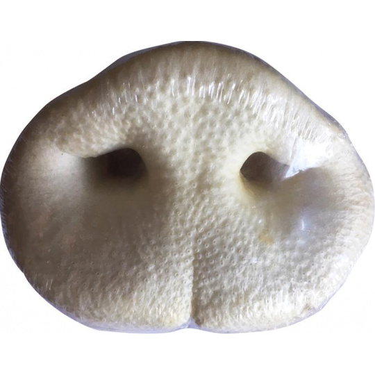 Pamlsok Jack bravčový rypák biely 1 ks Pamlsok Jack bravčový rypák biely 1 ks