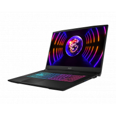 MSI Katana 17 B13VGK-829XPL Laptop 43,9 cm (17.3") Full HD Intel® Core™ i9 i9-13900H 16 GB DDR5-SDRAM 1 TB SSD NVIDIA GeForce RTX 4070 Wi-Fi 6 (802.11ax) NoOS Černá