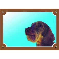 Farebná ceduľka Pozor pes, Jazvečík hrubosrstý