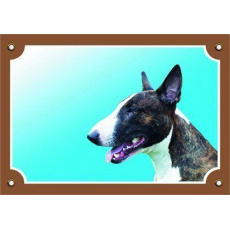 Farebná ceduľka Pozor pes, Bullterier pes