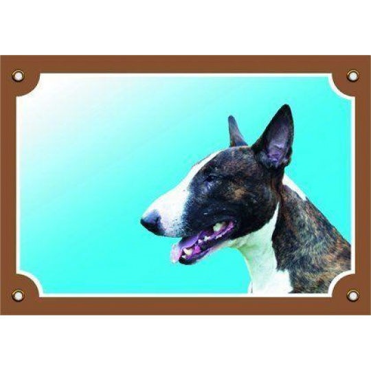 Farebná ceduľka Pozor pes, Bullterier pes Farebná ceduľka Pozor pes, Bullterier pes