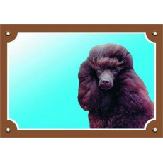 Farebná ceduľka Pozor pes, Pudl čierny