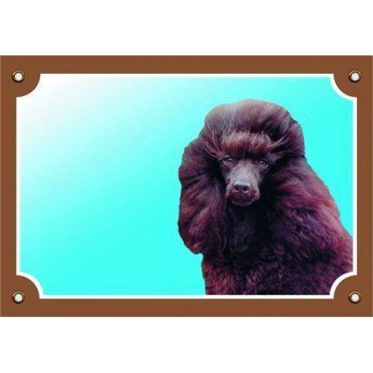 Farebná ceduľka Pozor pes, Pudl čierny Farebná ceduľka Pozor pes, Pudl čierny