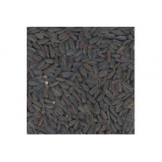 Slnečnica čierna 800g Slnečnica čierna 800g