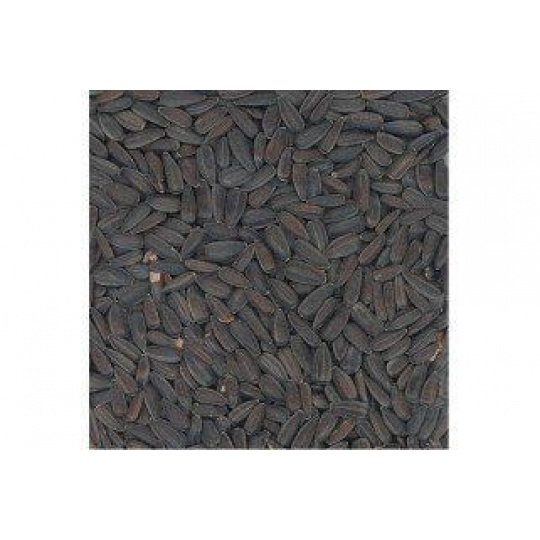 Slnečnica čierna 800g Slnečnica čierna 800g
