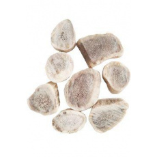 Pochúťka parožie Daněk pre hlodavce 30g Pochúťka parožie Daněk pre hlodavce 30g