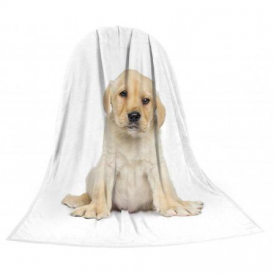 Deka TEXSTAR mikrovlákno 280g 150 x 200 cm, šteniatko Deka TEXSTAR mikrovlákno 280g 150 x 200 cm, šteniatko