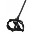 Postroj pes s vodítkom 2m CLIP&GO čierna S Zolux
