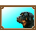 Tabuľka Tu strážim! Rottweiler 1ks