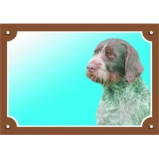 Farebná ceduľka Pozor pes, Český fúzač