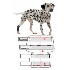 Bandáž Rehab na členok pre psa KRUUSE M