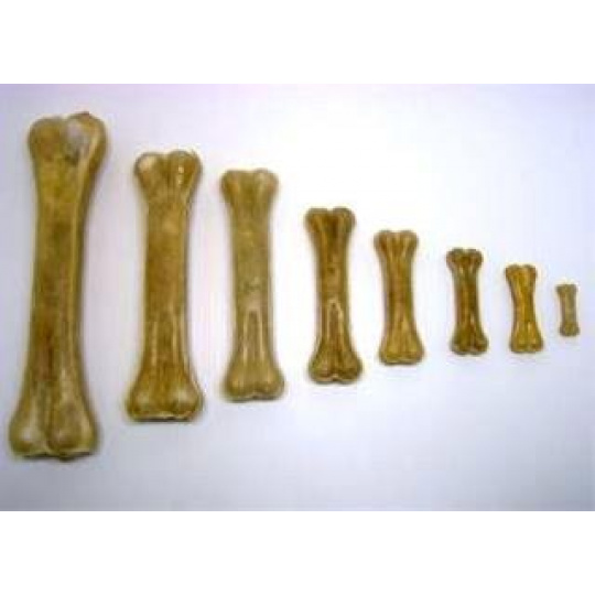 Pamlsok Salač Kosť prírodná 21-22 cm Pamlsok Salač Kosť prírodná 21-22 cm