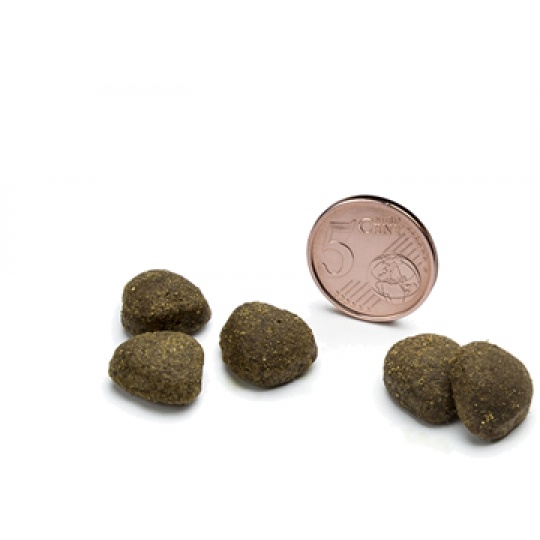 CANAGAN Free Range Chicken 6 kg CANAGAN Free Range Chicken 6 kg