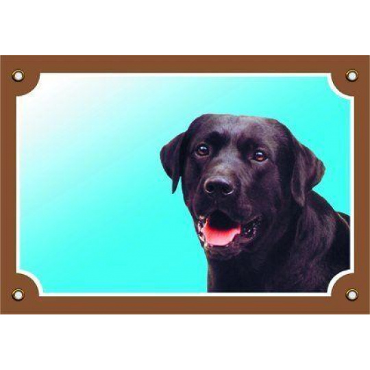 Farebná ceduľka Pozor pes, Labrador čierny Farebná ceduľka Pozor pes, Labrador čierny
