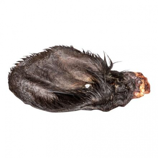 Hovädzie ucho s kožou, sušené - 1 ks